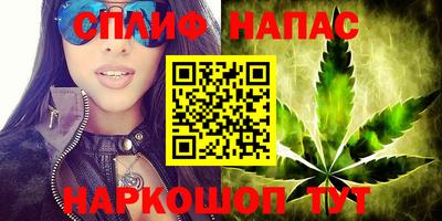 трава Новодвинск