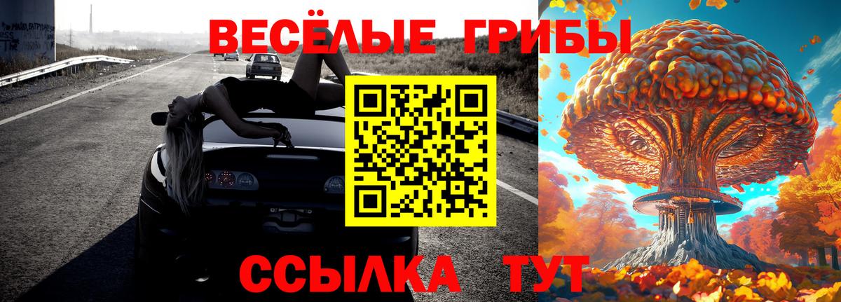 Ульяновск  Галлюциногенные грибы мицелий  Псилоцибиновые грибы Psilocybine cubensis  купить наркотики сайты  Вход с VPN 