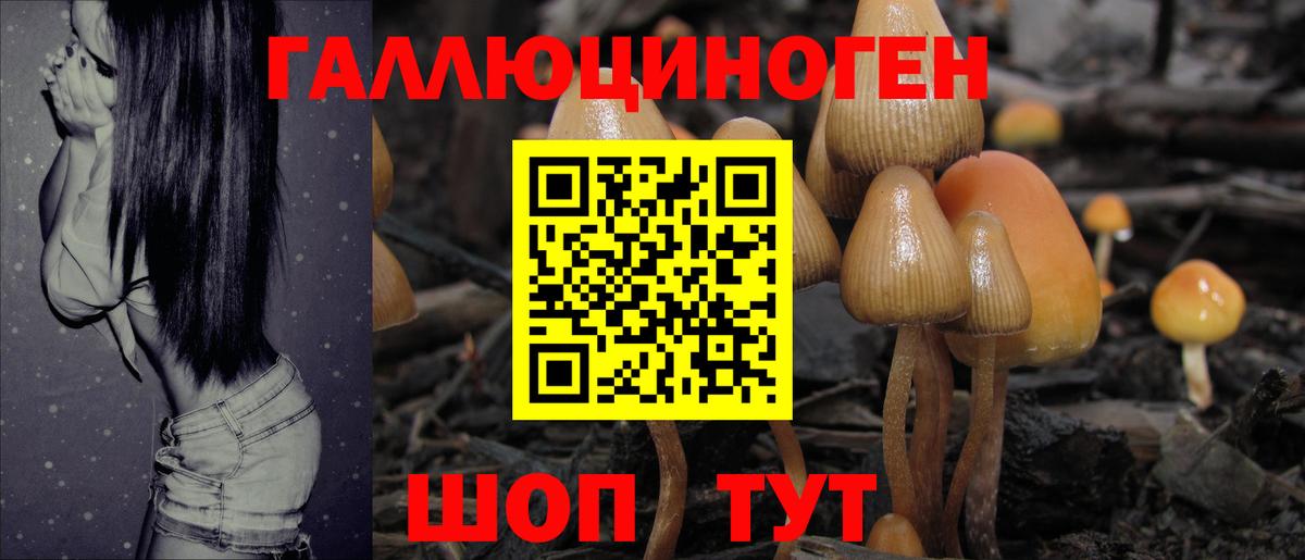 Псилоцибиновые грибы прущие грибы Ульяновск